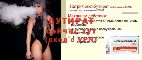 сатива Новозыбков