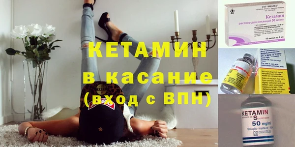 сатива Новозыбков